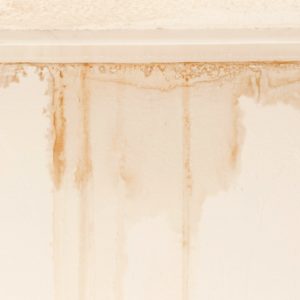 Water stain on wall